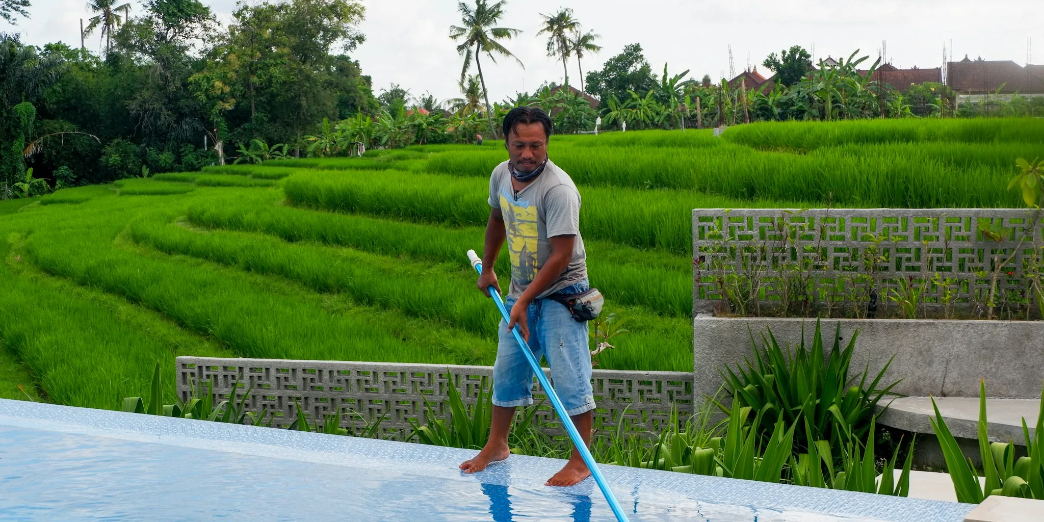 The 10 Best Pool Cleaners