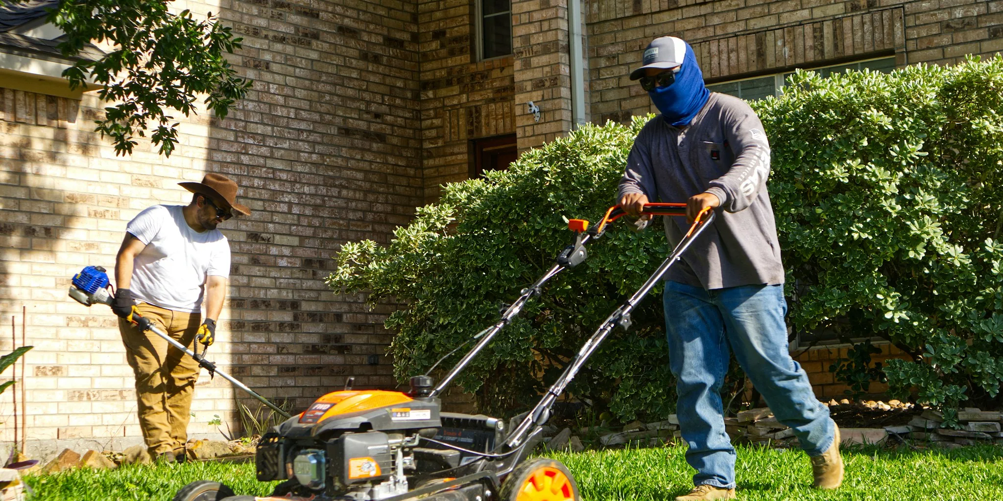 The 11 Best Lawn Mowers