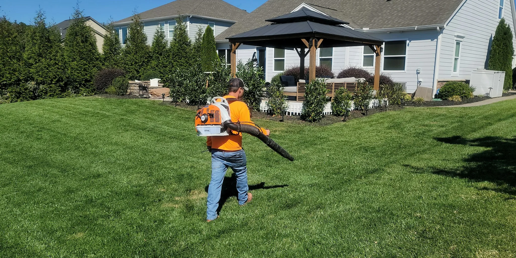 Common Fall Lawn Care Mistakes to Avoid