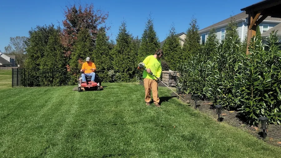 Homeowner spreading grass clippings across yard for natural lawn fertilization and mulching