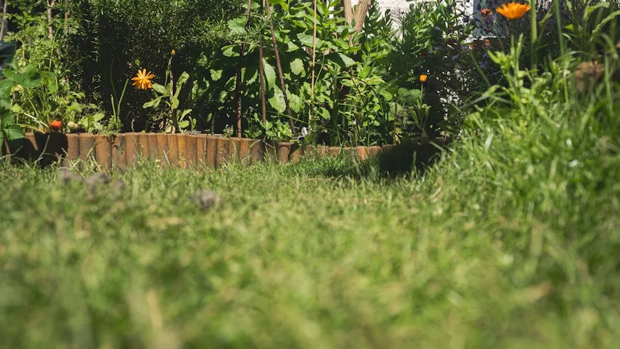 The %product_count% Best Lawn Edgers 2 Homeowner using electric lawn edger along garden bed border on residential property