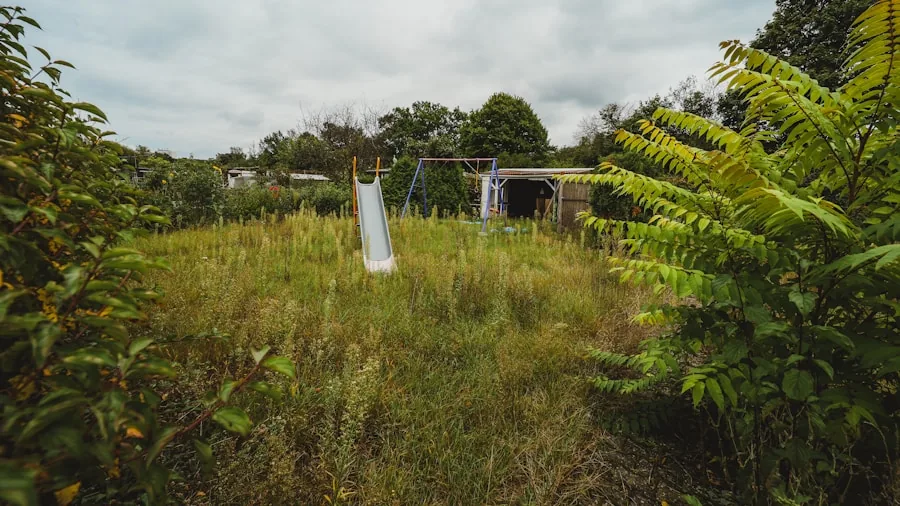 Homeowner using string trimmer to cut back overgrown weeds and thick vegetation in residential yard