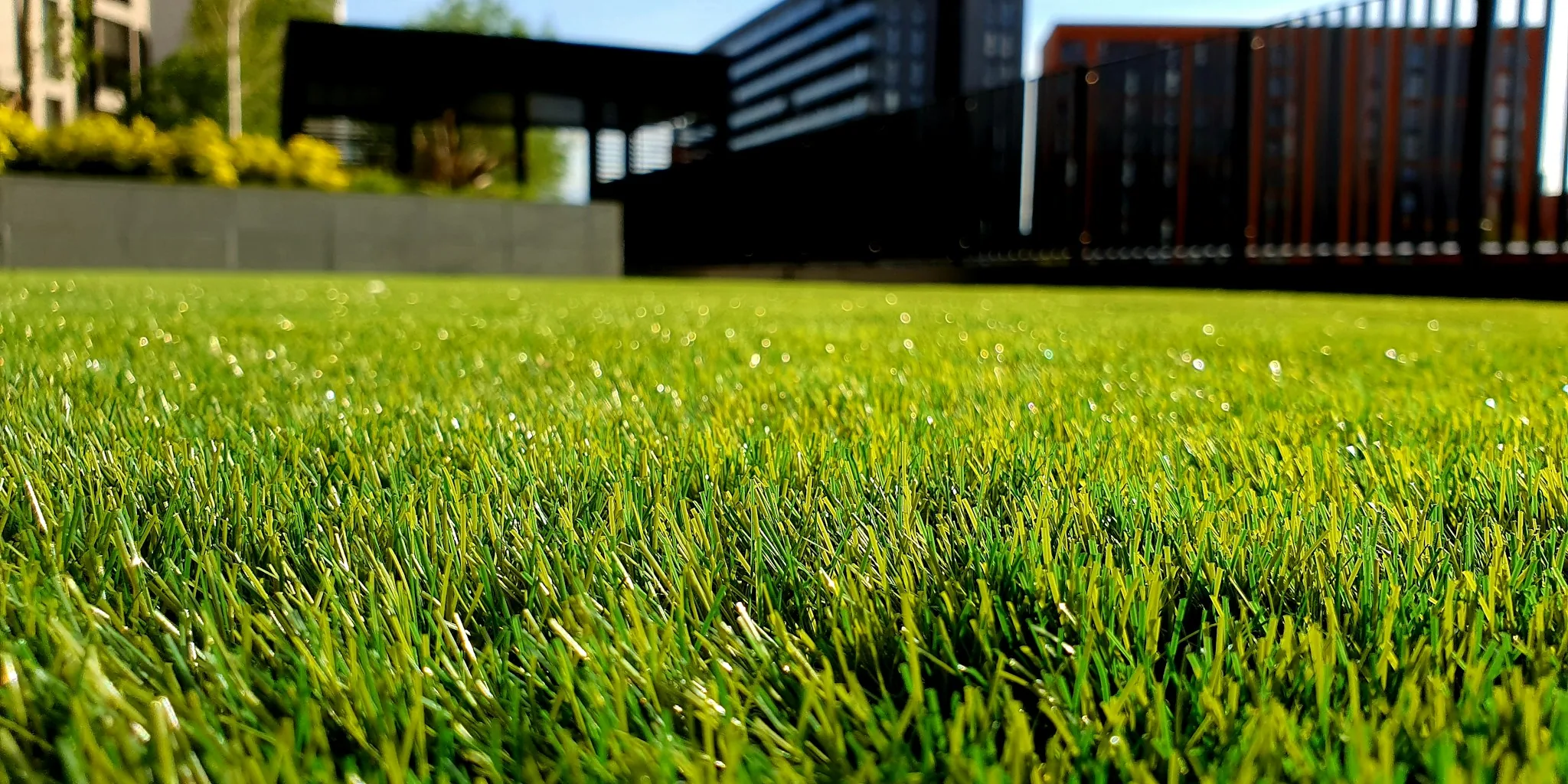 Can Your HOA Fine You for Weeds