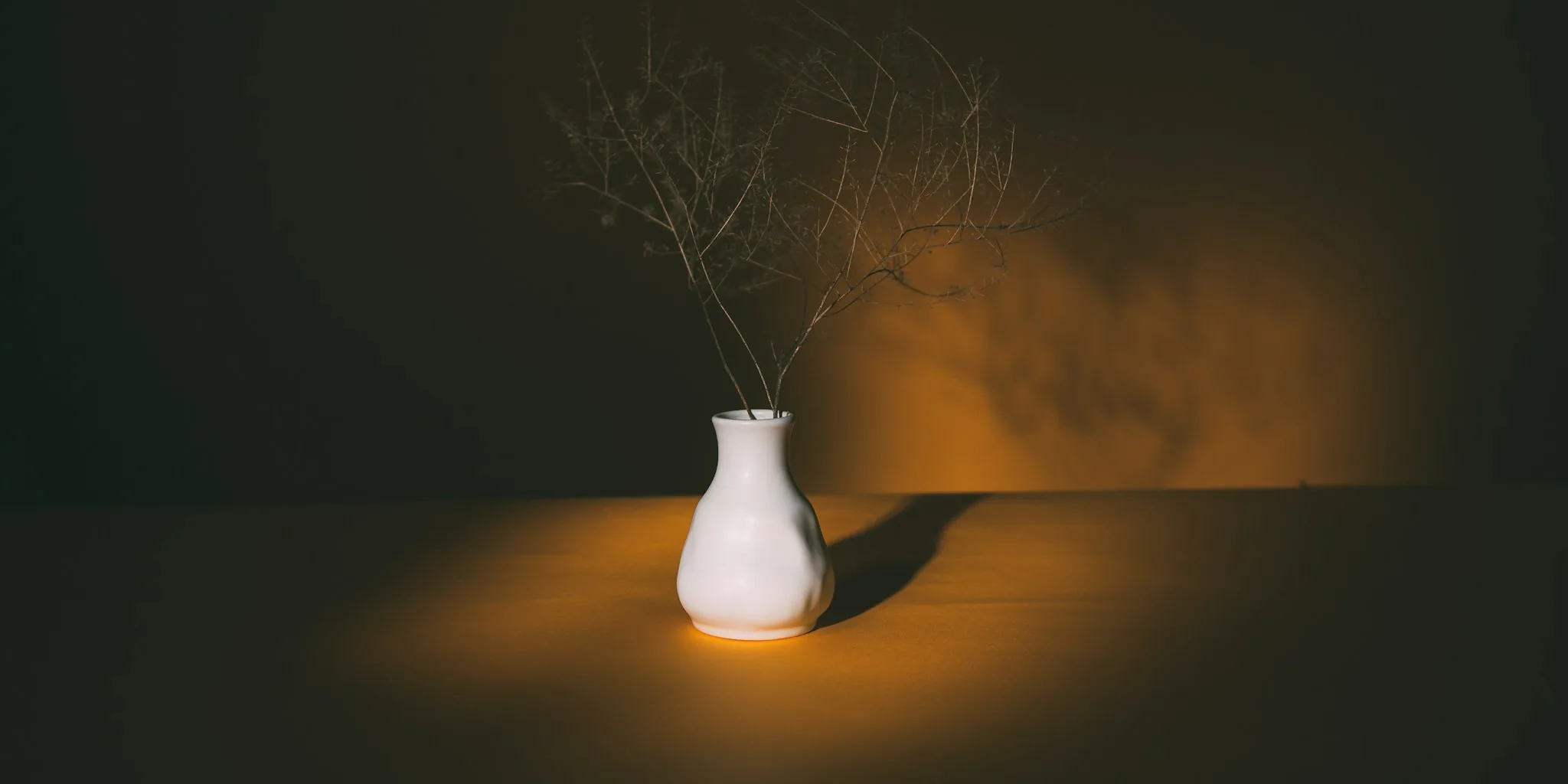 5 Tips to Create a DIY Illuminated Branch Garden Display
