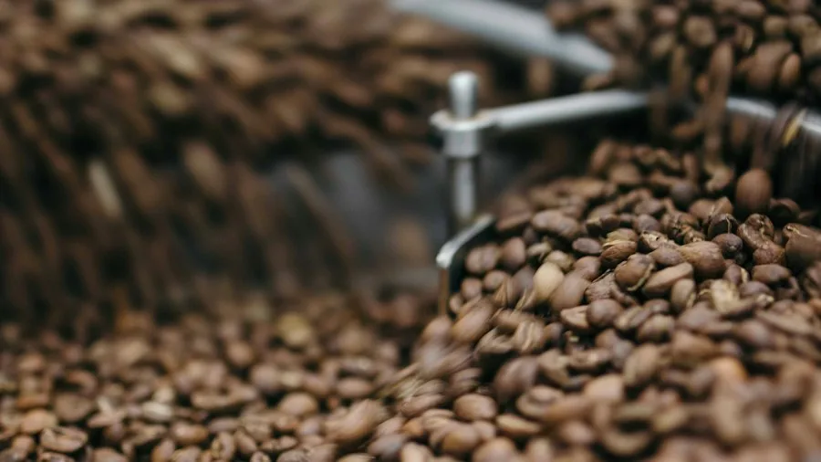 AI Powered Coffee Inspection Gets 25 Percent Better by Flipping Beans What Shoppers Should Know 3 industrial coffee sorting equipment