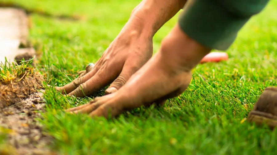 7 Tips to Stop Crabgrass and Restore Your Lawn 2 lawn aeration soil compacted