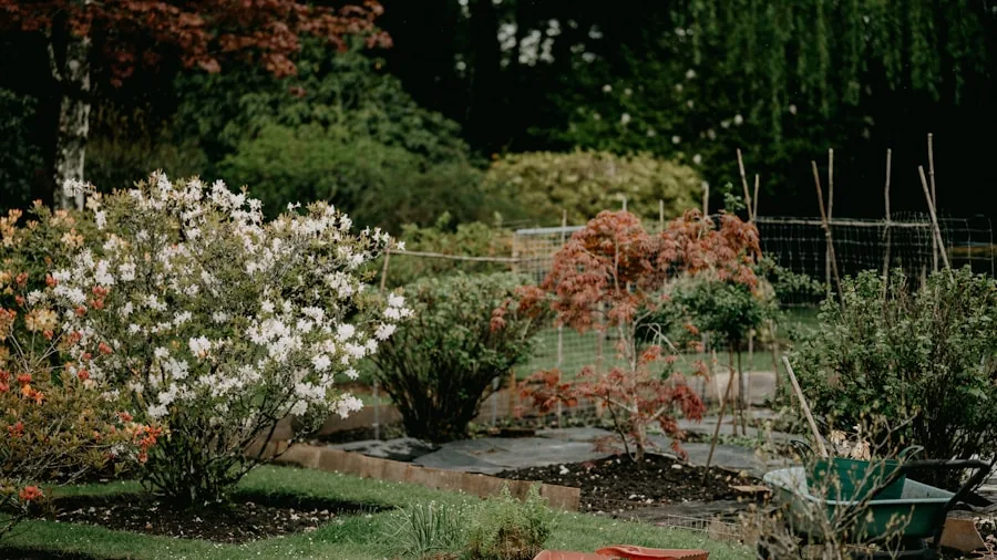 layered garden planting depth