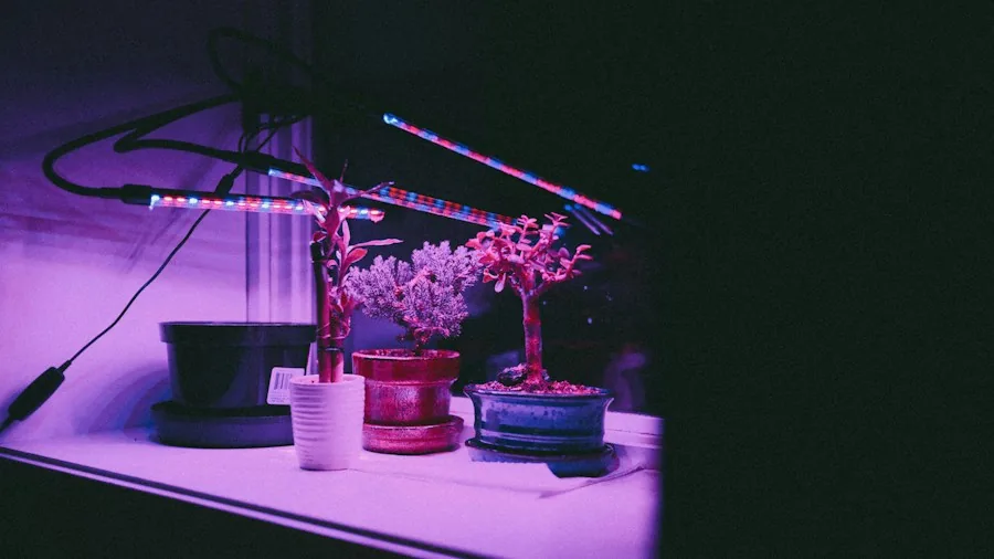 LED grow light houseplant setup