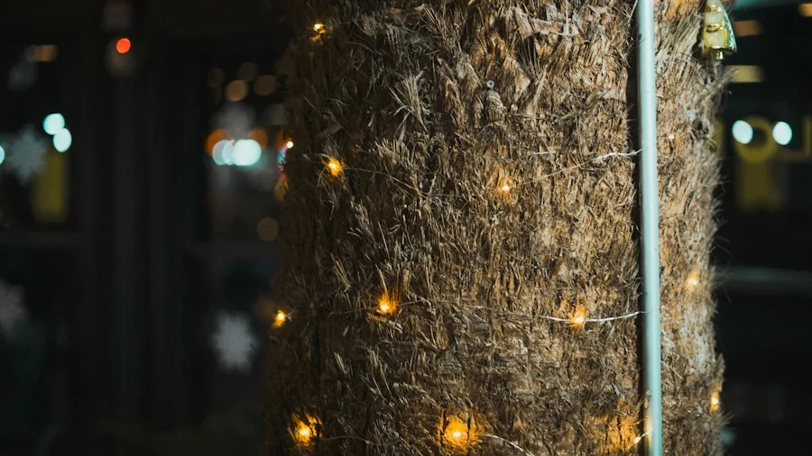 LED lights wrapped around tree trunk
