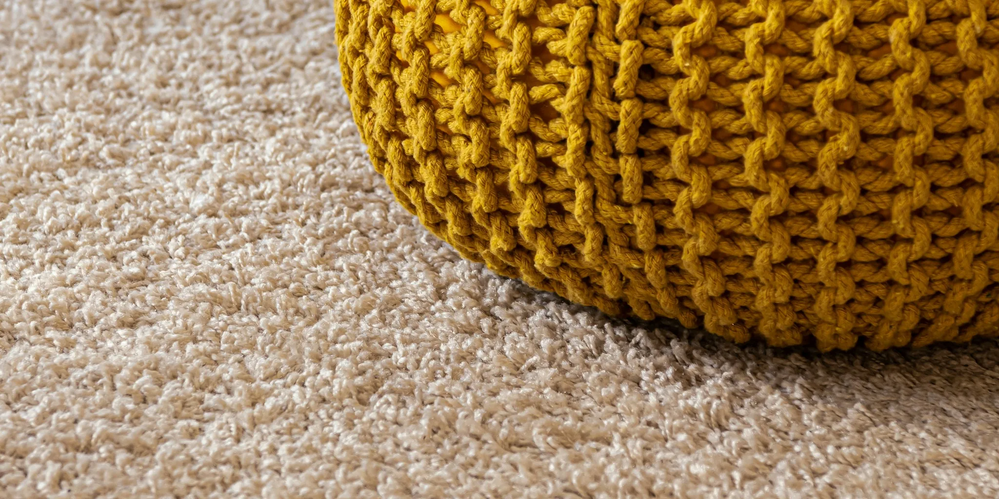 The 12 Best Carpet Cleaners
