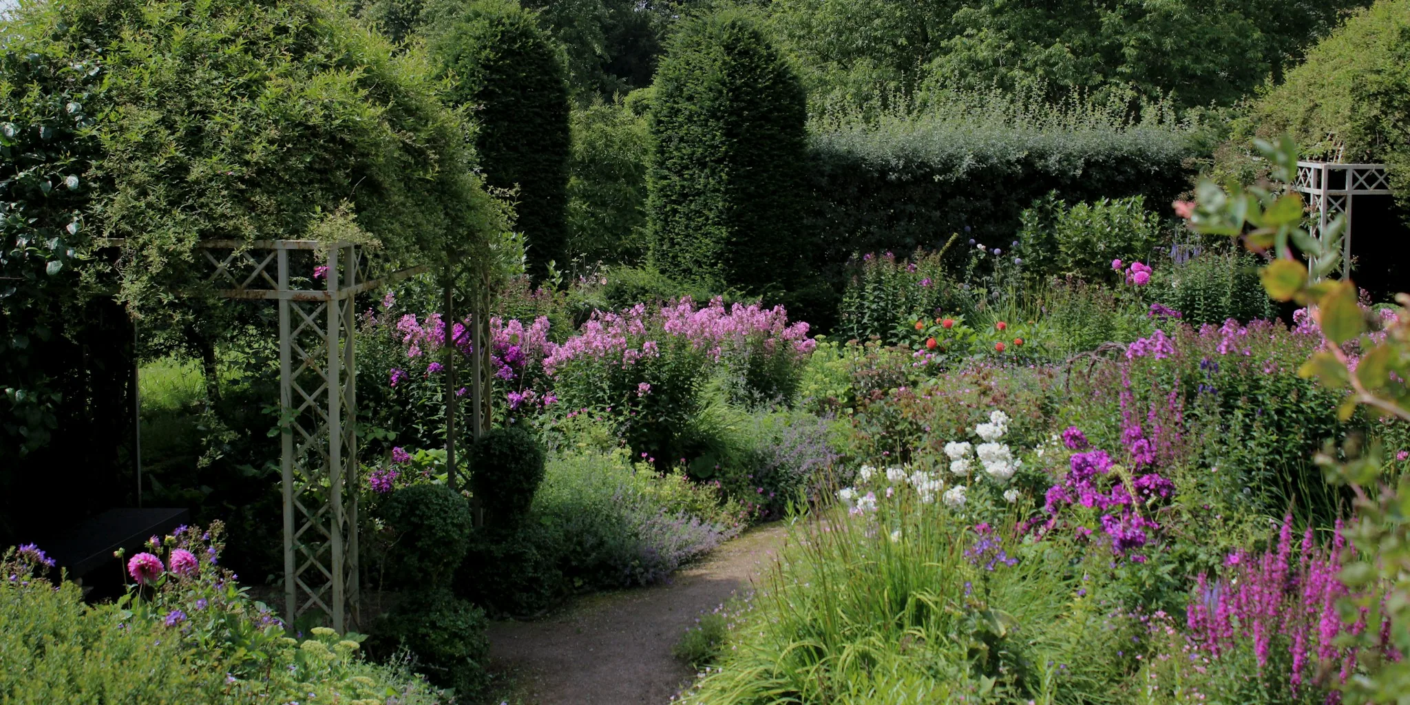 Five Garden Plants for Instant Designer Style