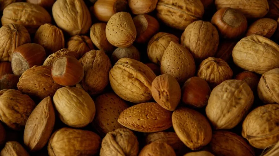 Magnesium and Workout Performance: What Shoppers Need to Know About This Essential Nutrient 2 magnesium rich foods seeds nuts