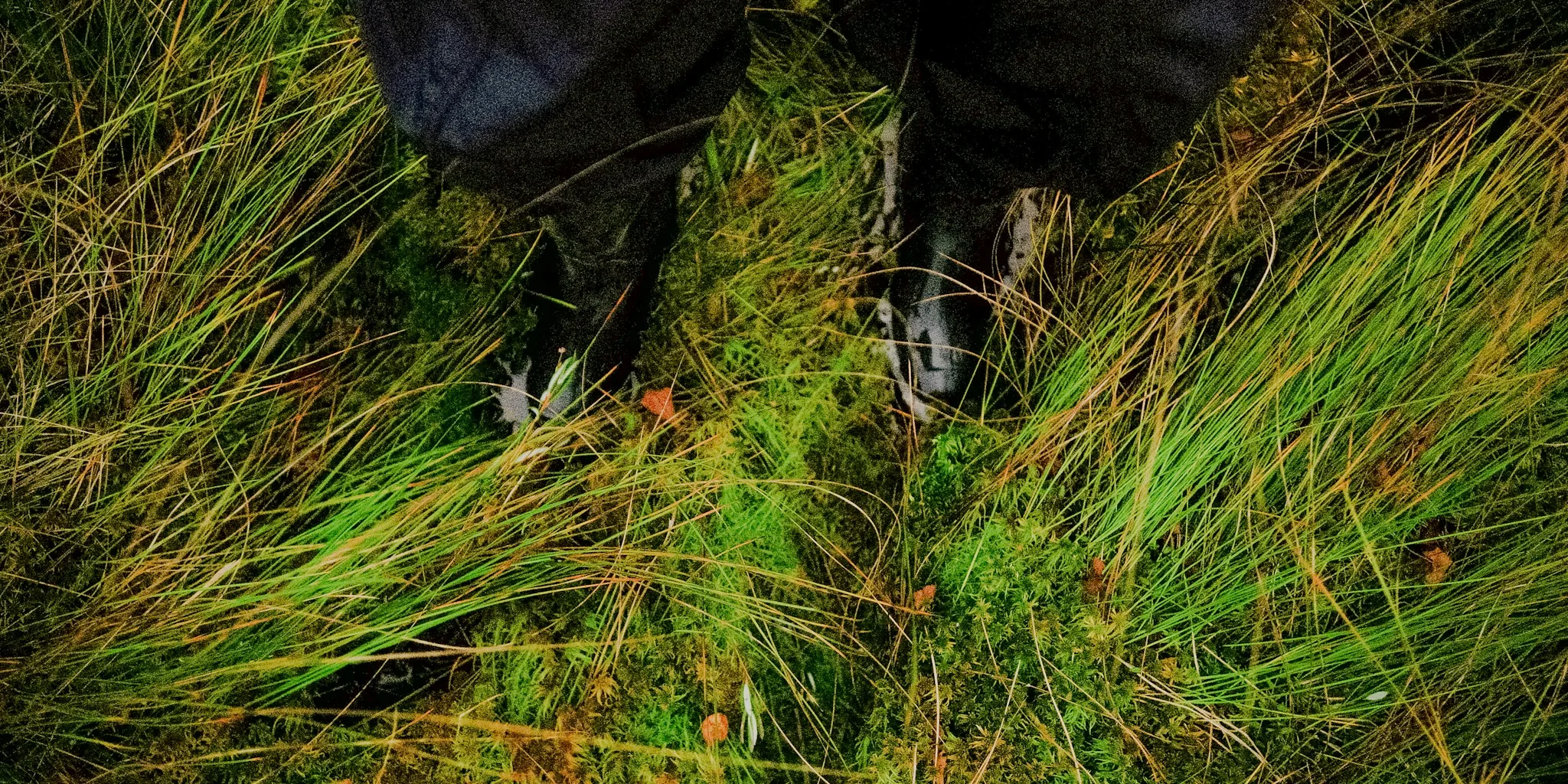 The 4 Best Hunting Boots for Men