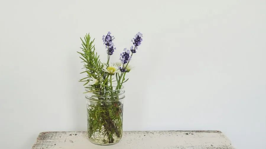Terracotta Pots for Plants: Which Ones Thrive and Which Ones Fail 2 Mediterranean herbs rosemary lavender
