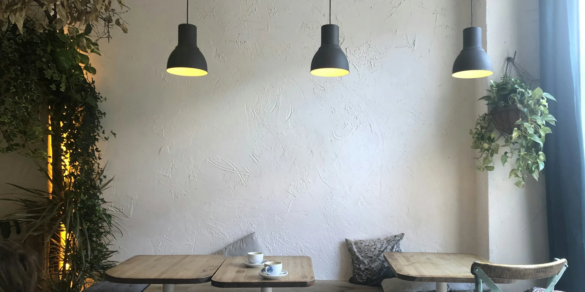 Gray Squirrel Coffee Expands in North Carolina: What Shoppers Should Know