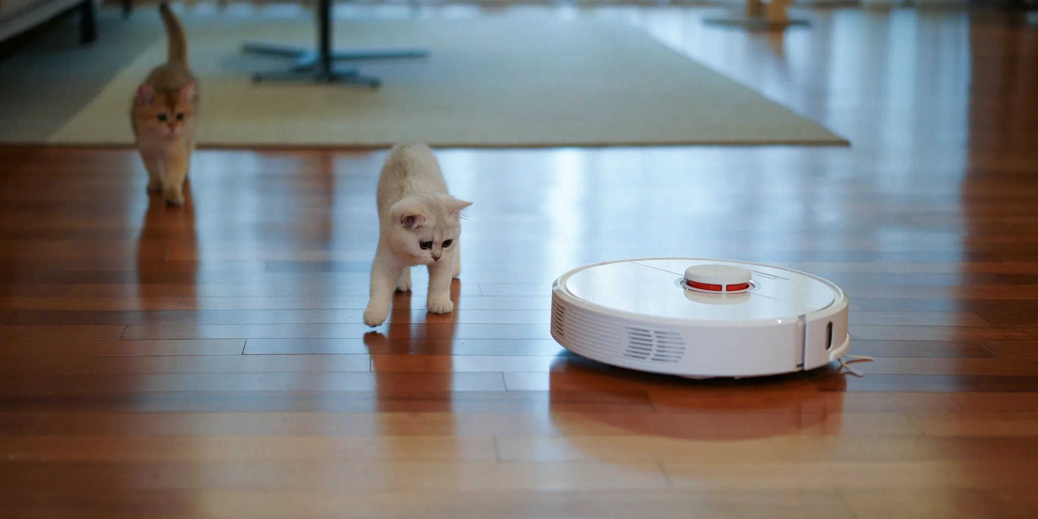 Mova V70 Ultra Complete Robot Vacuum Released: What Shoppers Should Know