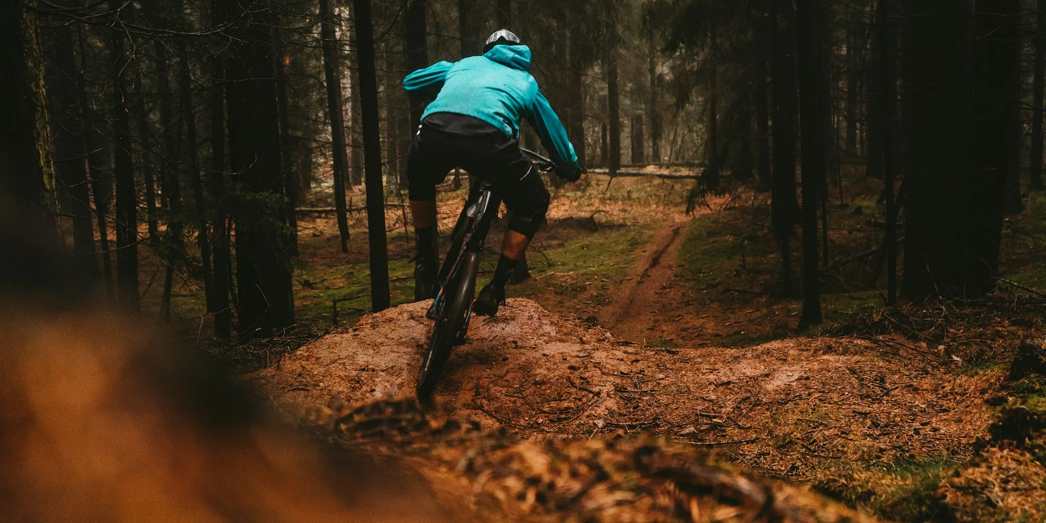 The 5 Best Mountain Bikes