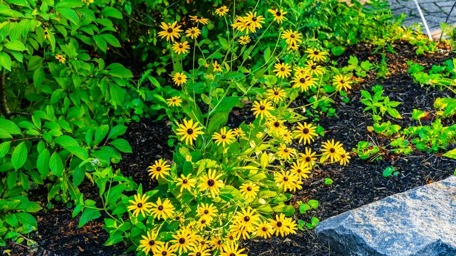 5 Essential October Tasks to Prepare Lily Plants for Next Year's Blooms 3 mulch application garden beds