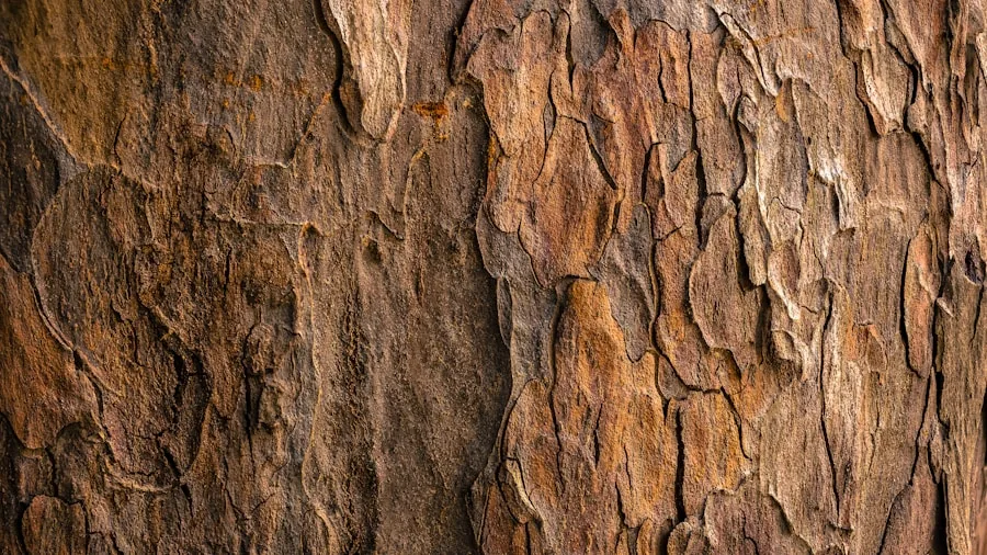 July Shrub Planting Mistakes: 5 Species to Avoid and Their Superior Alternatives 3 native ninebark peeling bark