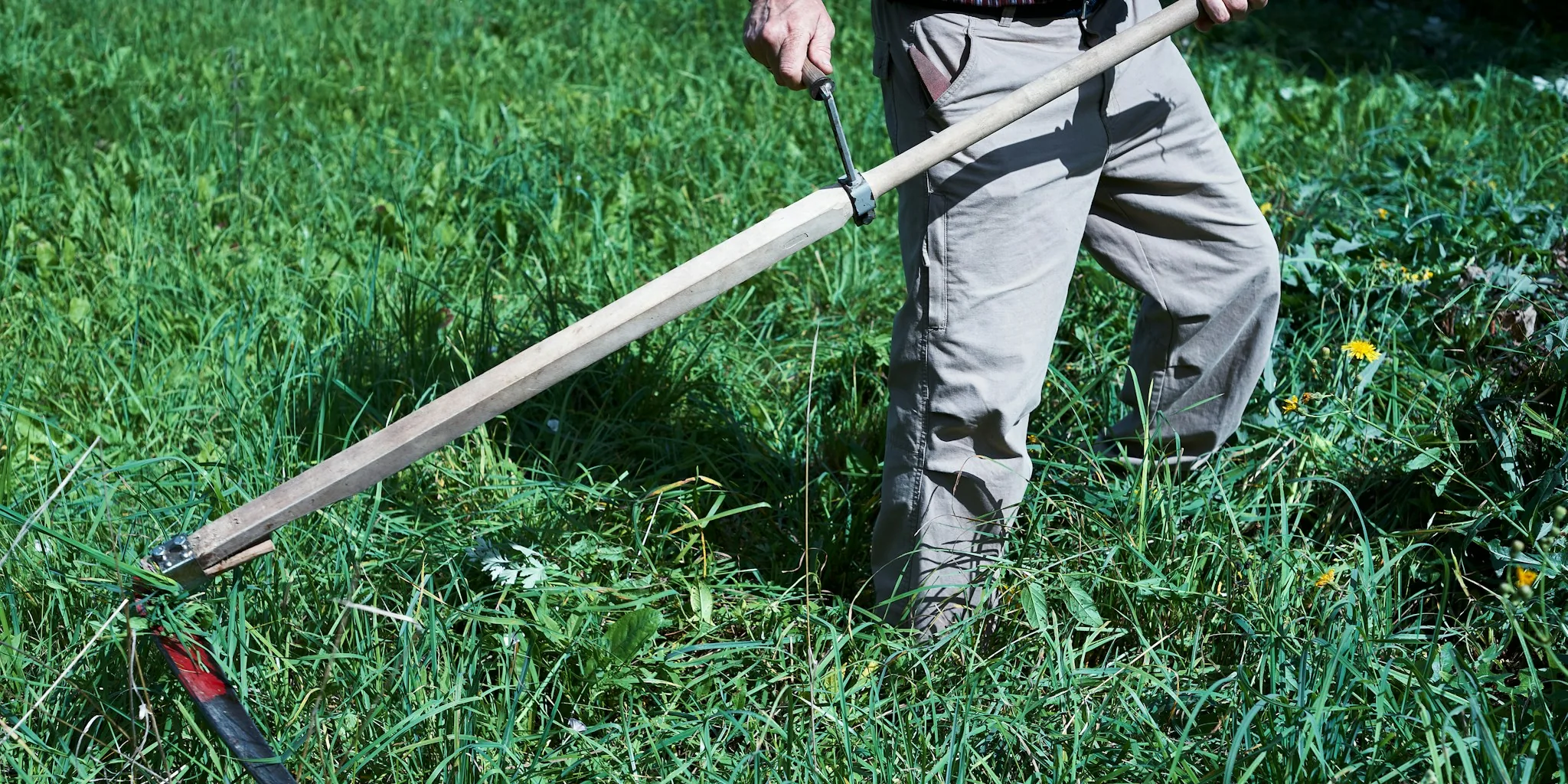 Nut Gatherer Tool for Your Garden: What Homeowners Should Know About Clearing Fallen Fruit