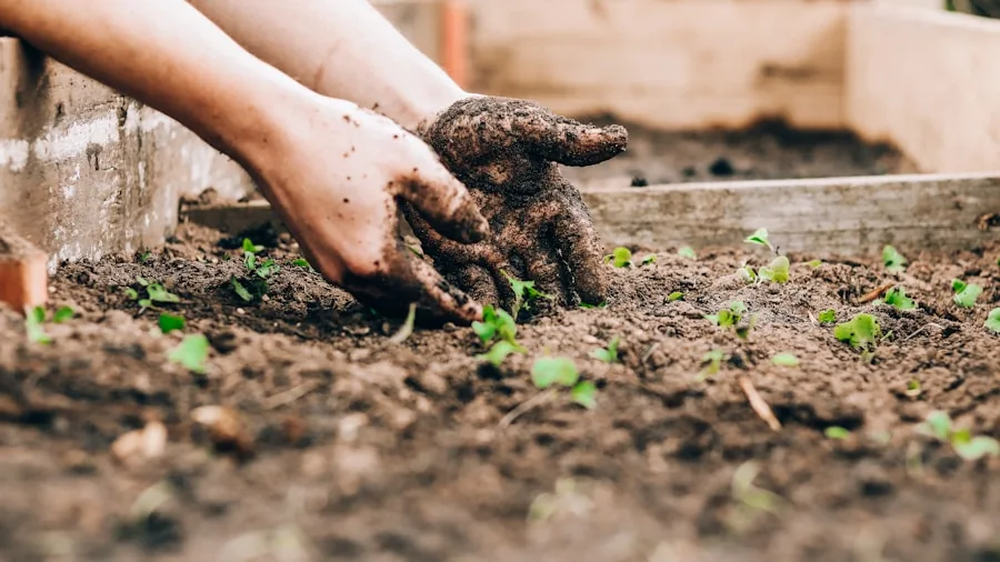 Maryland Opens Nation's Largest Human Composting Facility: What Gardeners Need to Know 3 nutrient-rich soil garden planting