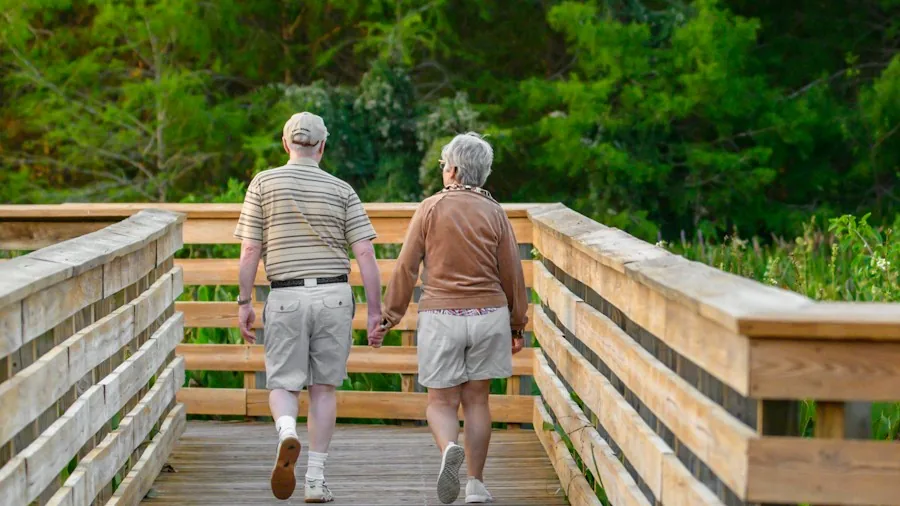 Walking as Exercise What Fitness Experts Say You Need to Know 2 older adults walking park health