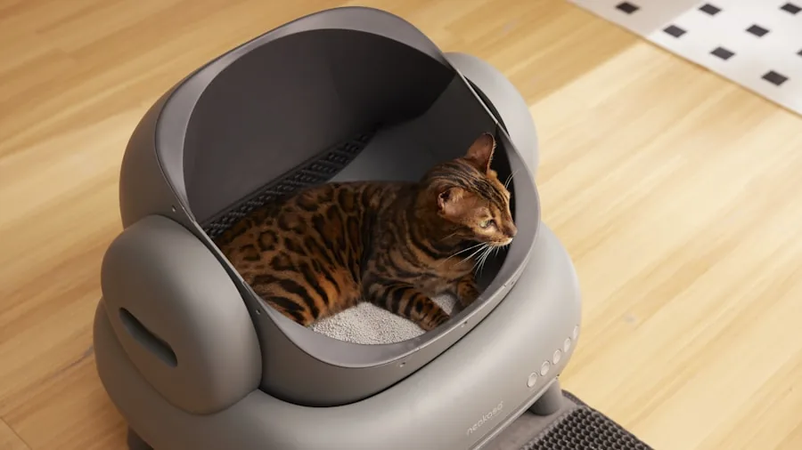 Orange cat approaching open litter box entrance at home