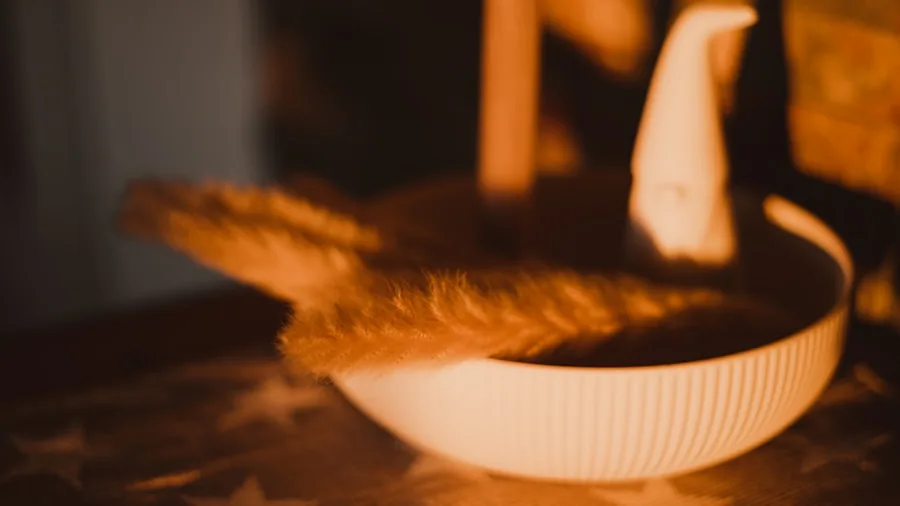 The %product_count% Best Cat Bowls 2 Orange tabby cat eating from a ceramic bowl during mealtime at home