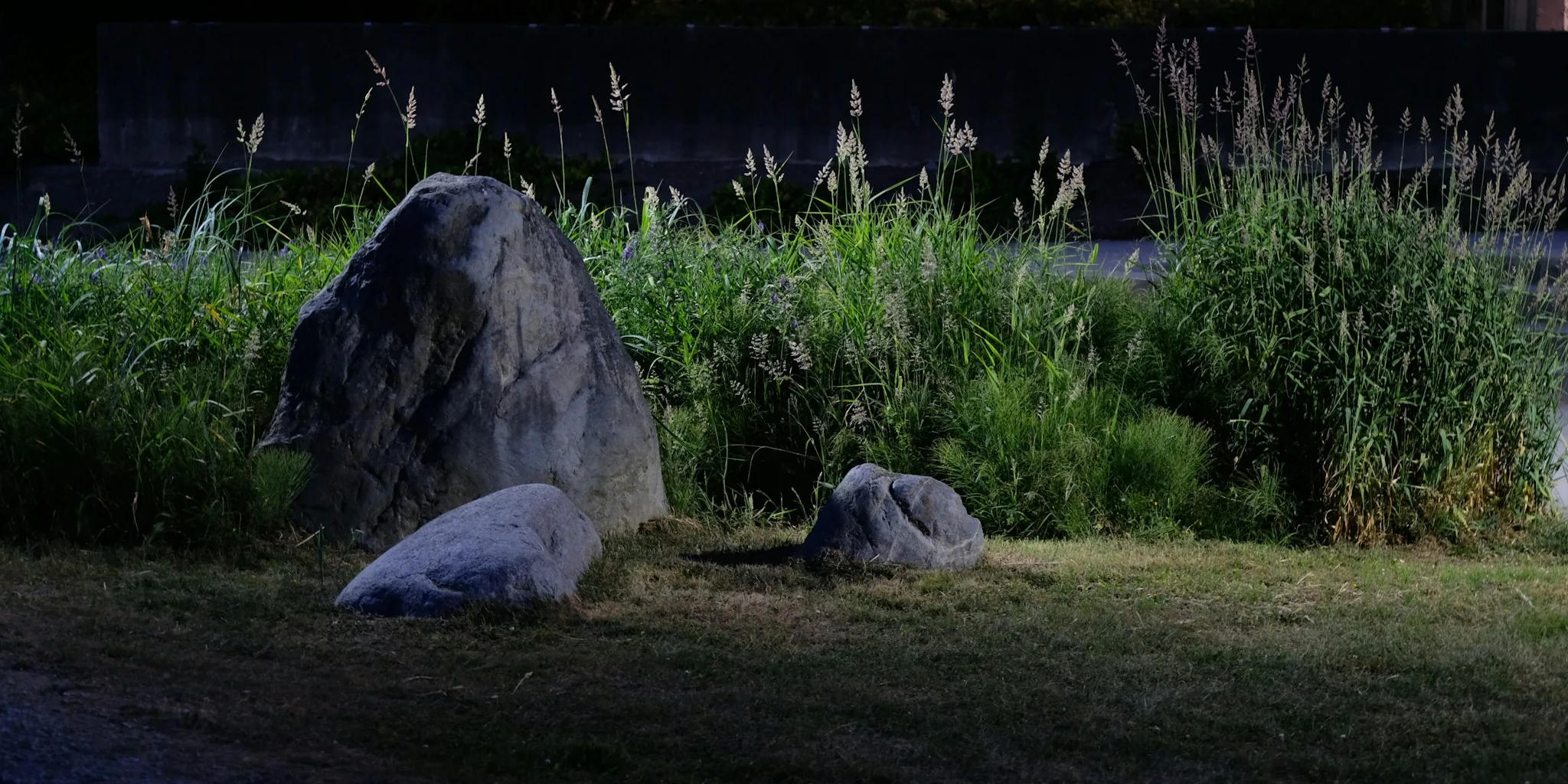 Transform Your Lawn into a Low-Maintenance Rock Garden