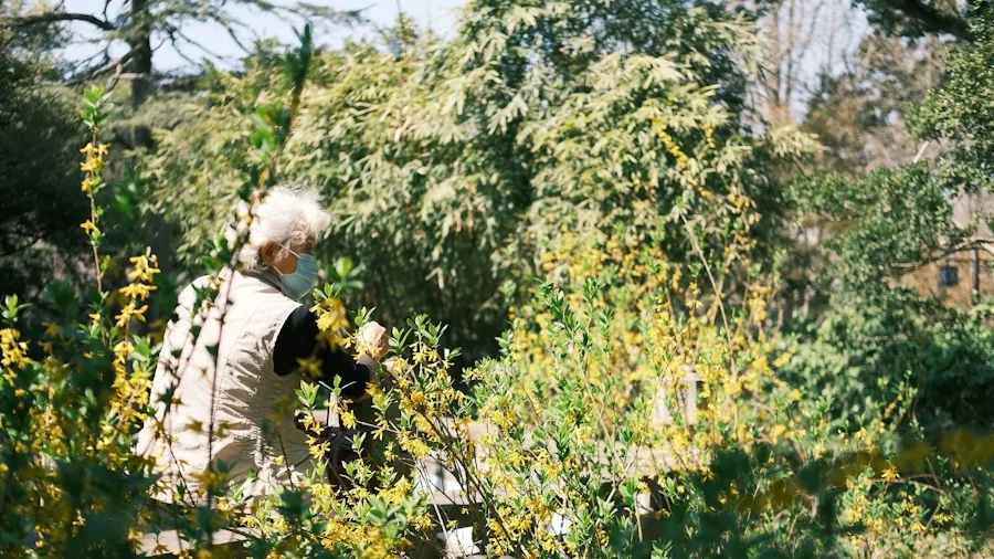 Harvesting Seeds From Public Parks: Legal Rules Every Gardener Needs to Know 2 park ranger checking endangered plants