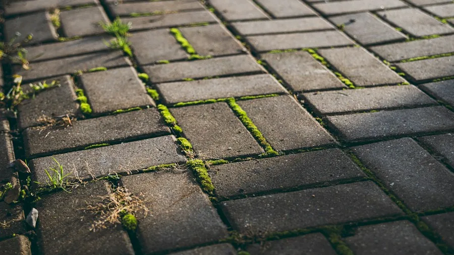 7 Tips to Manage Garden Drainage and Protect Your Neighbor's Yard 2 permeable pavers natural stone pathway