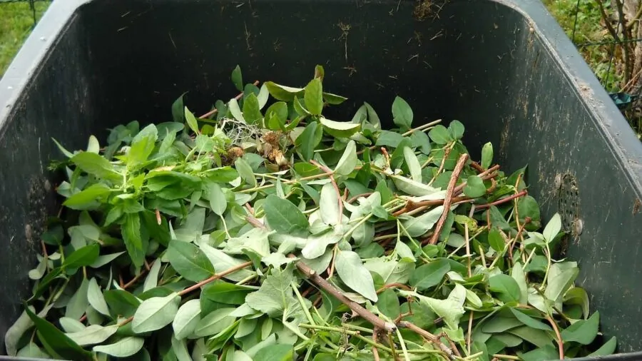 The %product_count% Best Compost Bins 6 Person adding kitchen scraps to a compost bin in a backyard garden setting
