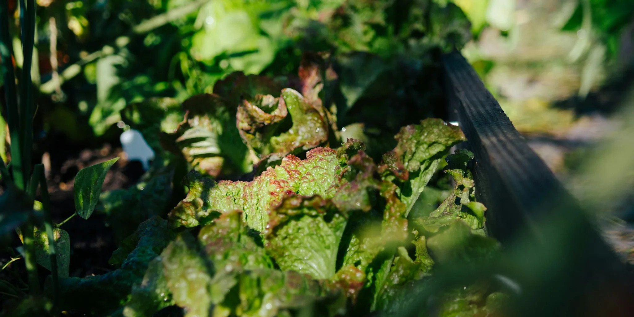 The 7 Best Compost Bins