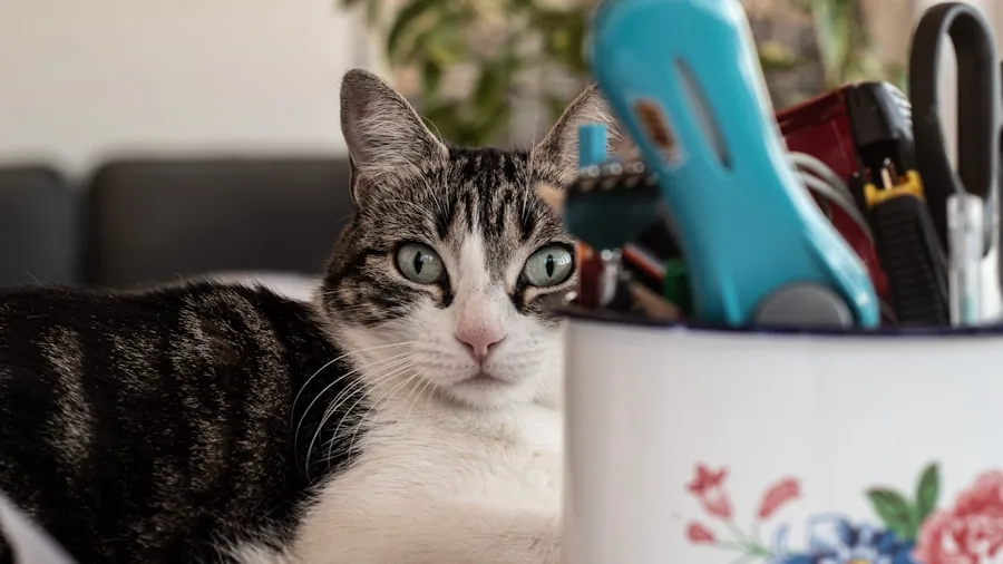 Person arranging pet care supplies in a cozy home setting for their cat