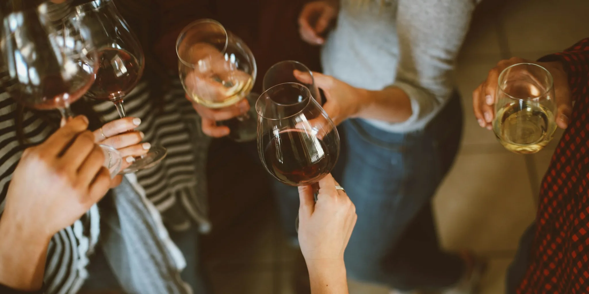 The 10 Best Wine Fridges