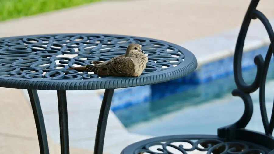 The %product_count% Best Patio Furniture 5 Person assembling patio furniture with tools on a residential deck