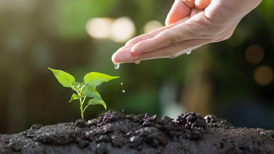 Person checking soil depth in raised garden bed with measuring tool for optimal plant root growth