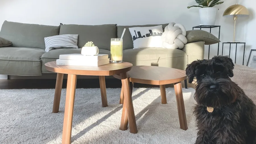 Person cleaning home carpet with care, demonstrating floor protection and maintenance in living room