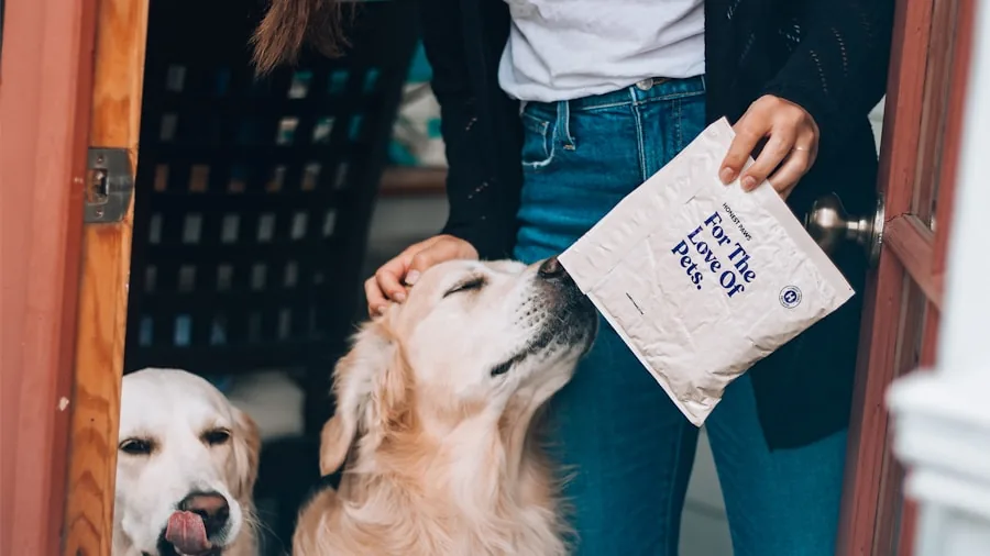 Person comparing different dog food bags while planning pet nutrition budget at home