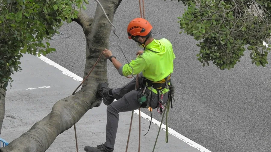 The %product_count% Best Chainsaws 5 Person cutting tree branches overhead with a chainsaw, demonstrating proper ergonomic technique