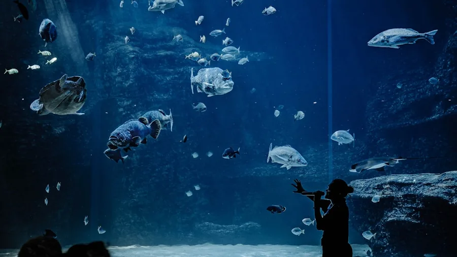 The %product_count% Best Fish Tanks 2 Person examining aquarium tank sizes to select appropriate capacity for their home setup