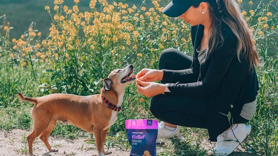Person examining pet food packaging while their dog watches nearby in natural lighting
