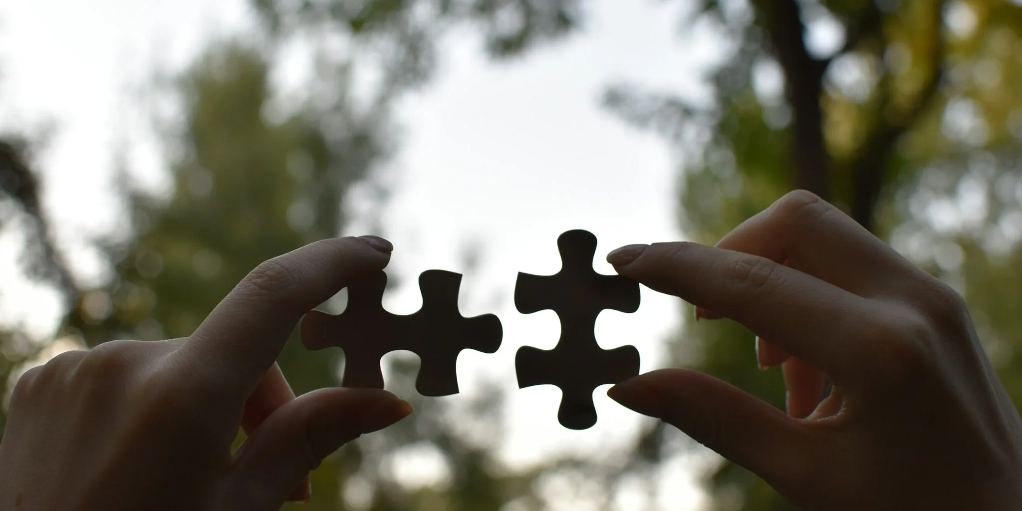 The Best Jigsaws for Woodworking Projects We Recommend