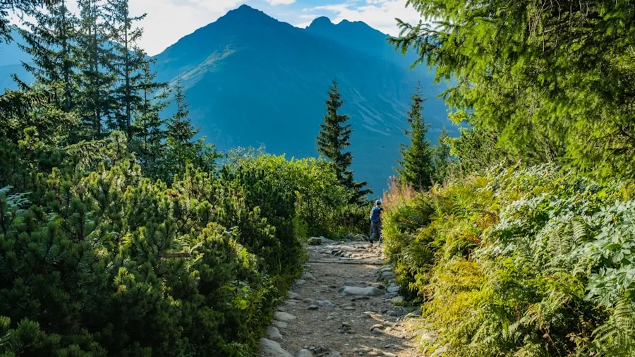 Person hiking on mountain trail carrying backpack in natural daylight