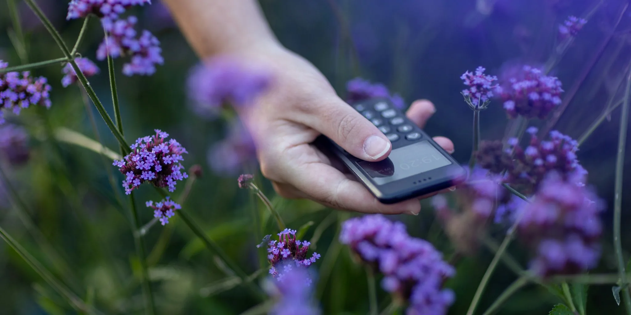 Smart TV Bloatware Removal: What Buyers Should Know About the Ad-Stripping Movement