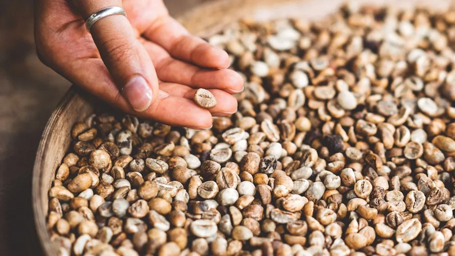 Person inspecting fresh organic coffee beans in natural light, considering quality and freshness