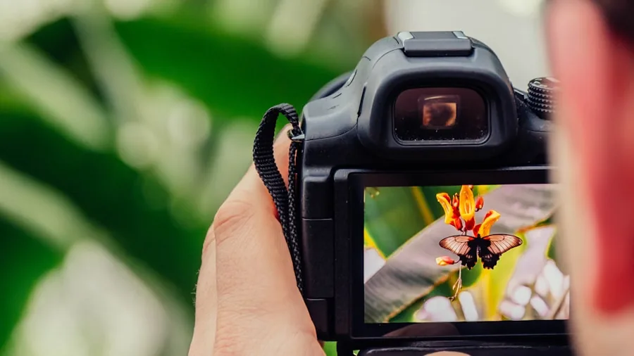 Person outdoors examining camera equipment and comparing photography quality in natural daylight