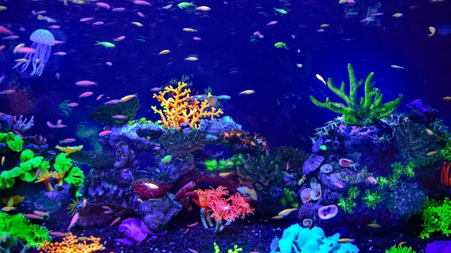 The %product_count% Best Fish Tanks 3 Person performing aquarium maintenance, checking filter system and water clarity in home fish tank