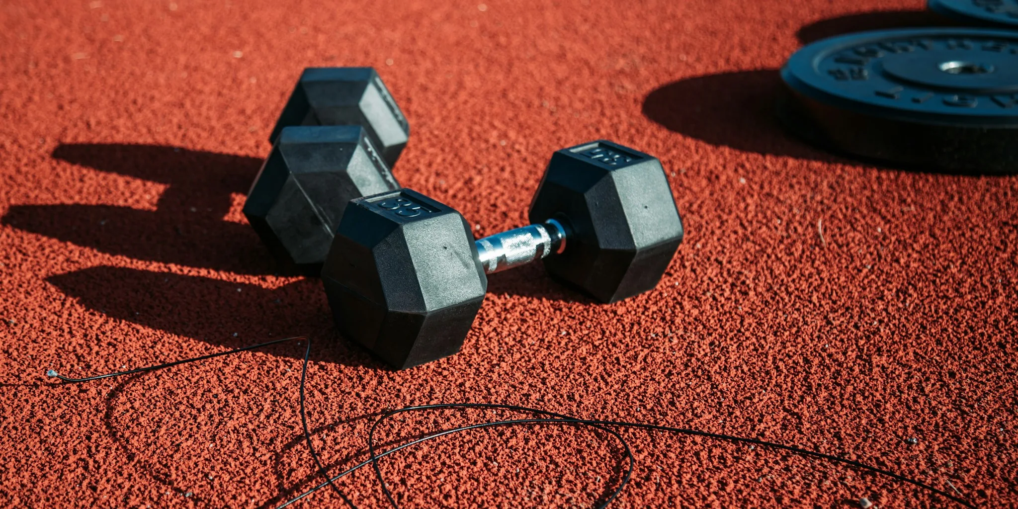 The Best Adjustable Dumbbells for Home Gyms in 2026
