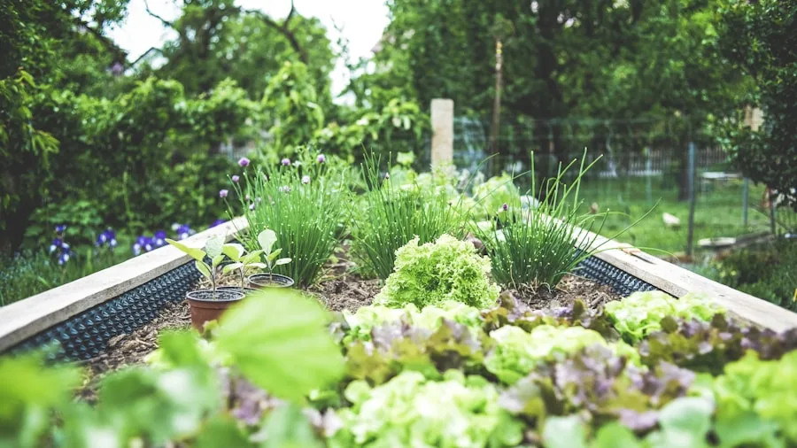 Person planning garden layout with notebook and sketches outdoors